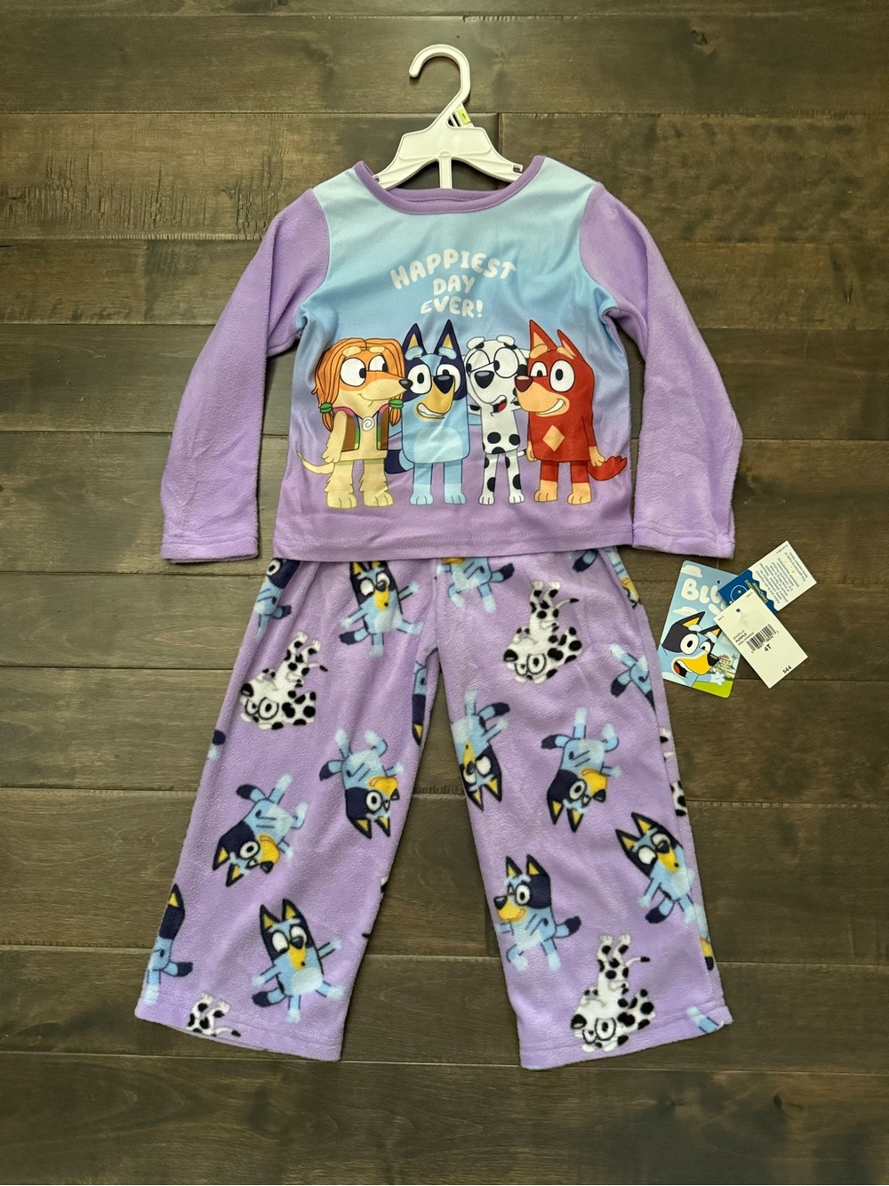 Bluey 2 piece Pajama Set Purple Size 4T
